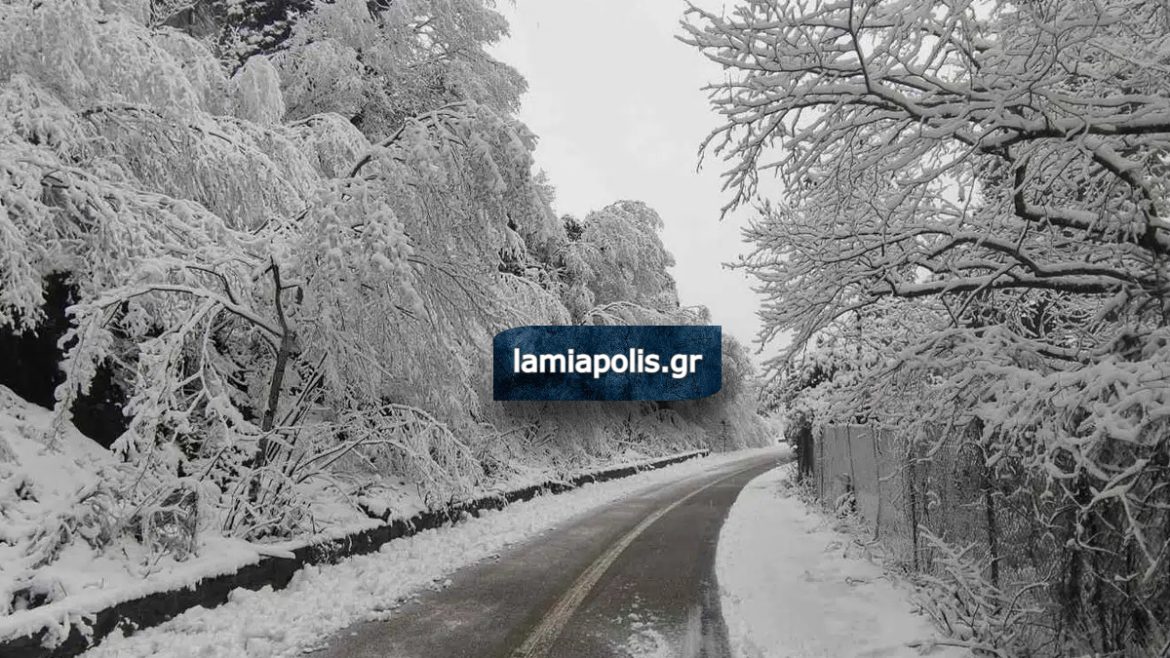 Γιάννης Καλλιάνος: Ερχονται χιόνια στην Φθιώτιδα - Πού και πότε θα χιονίσει - Αναλυτικά τα υψόμετρα