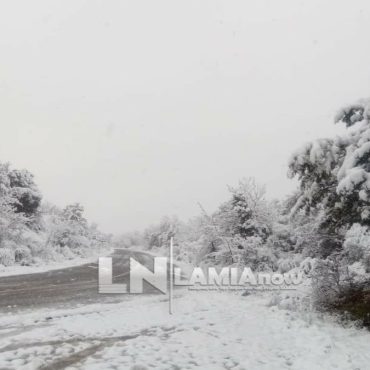 Φθιώτιδα: Xειμωνιάτικο σκηνικό στα ορεινά χωριά – Ξεκίνησαν τα χιόνια (video)