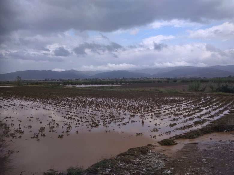 Λαϊκή Συνέλευση στην Πλατεία Λιανοκλαδίου για τις πλημμύρες – Γ.Πάτρας: “Η παρέμβαση αυτή αποτελεί μελλοντικό πλημμυρικό κίνδυνο για το χωριό και τις καλλιέργειες” (audio)