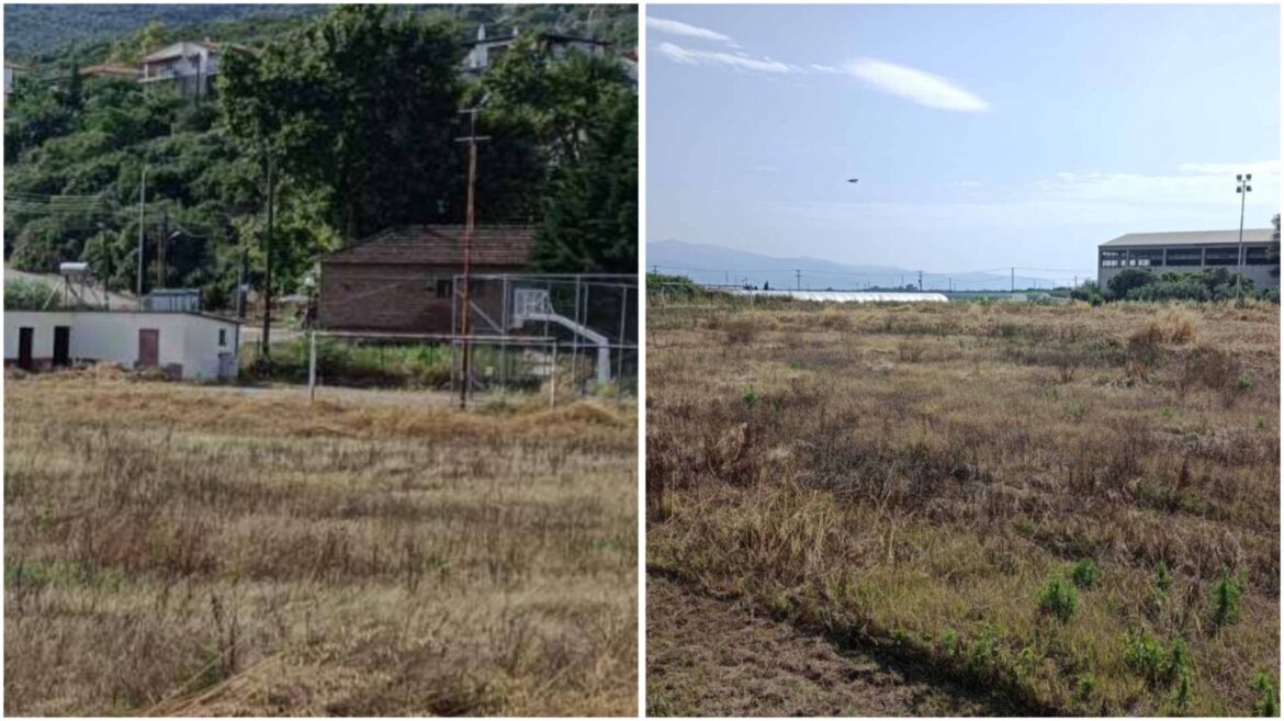 Λαμία: Από γήπεδο… ζούγκλα! Θα ασχοληθεί κανείς;