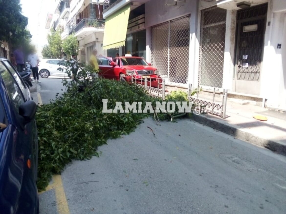 Λαμία: Απίστευτο τροχαίο στο κέντρο της πόλης – taxi για να γλιτώσει την σύγκρουση έπεσε σε κολώνα και δέντρο