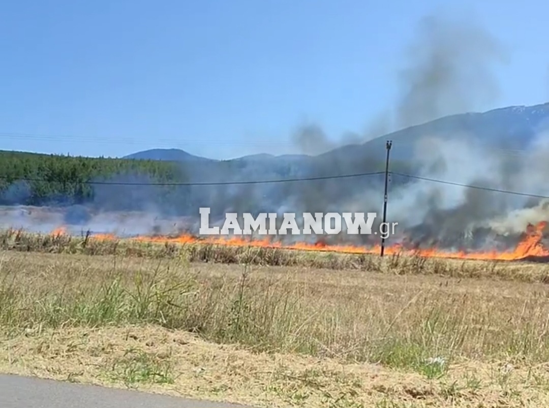 Φωτιά στο Καπαρέλι Βοιωτίας