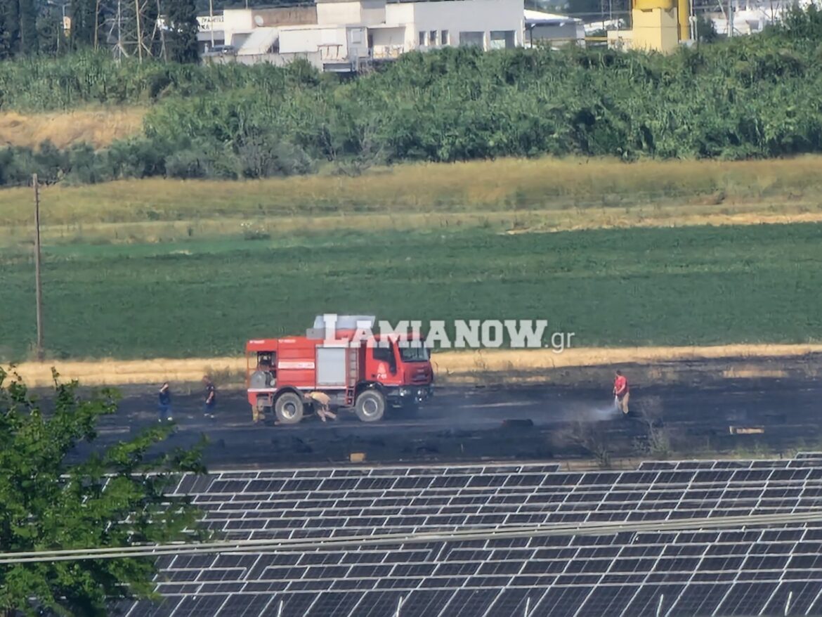 Λαμία: Πρόλαβαν τη φωτιά δίπλα στα φωτοβολταϊκά