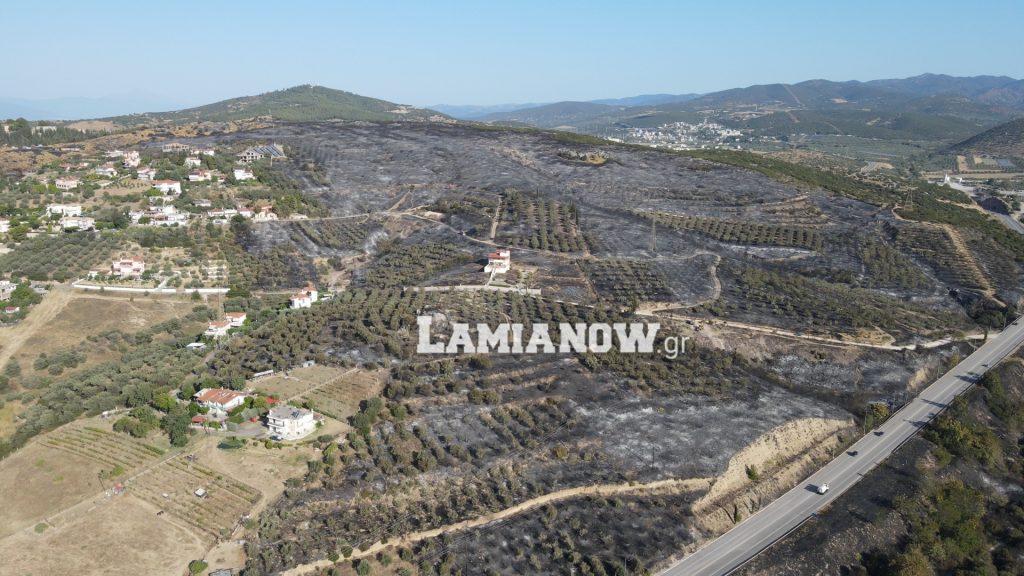Λαμία: Εικόνες αποκάλυψης από drone μετά την φωτιά σε Αφανο και Μαγνησία (video)