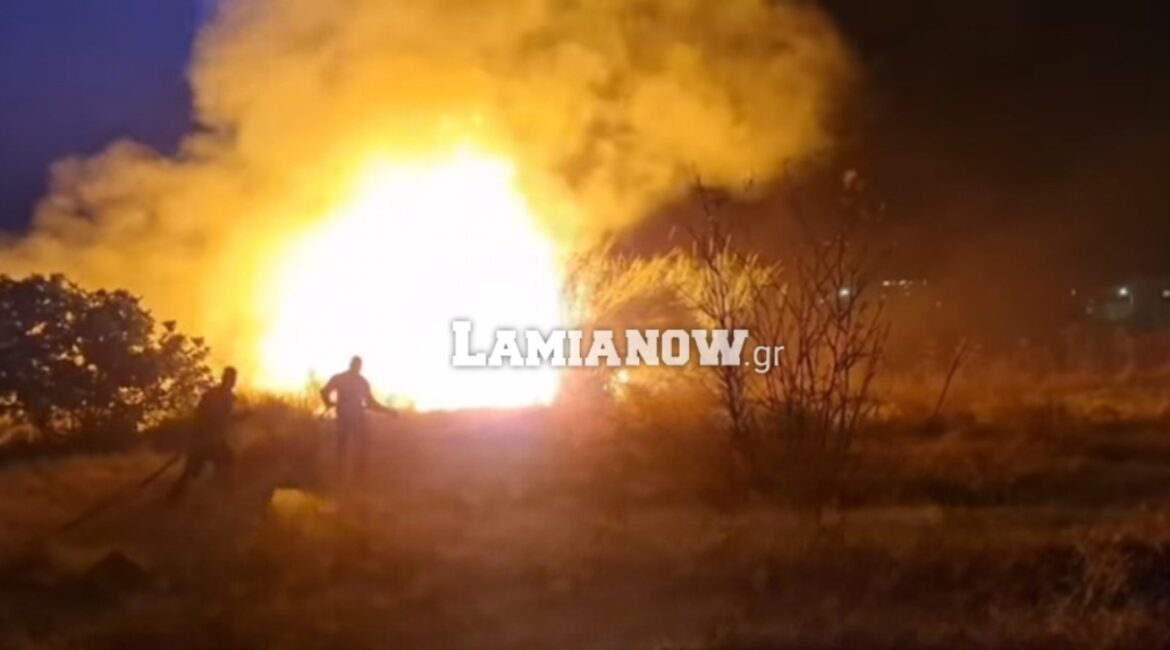 Λαμία: Βραδινή πυρκαγιά σε καλαμιές στη νότια πλευρά της πόλης – Έτρεχε η Π.Υ (video)