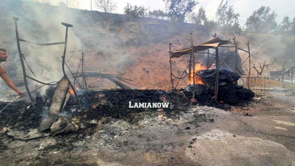Λαμία: Η μεγαλύτερη καταστροφή στην πόλη από φωτιά – Πάνω από 1.000 στρέμματα καμένης γης (video)