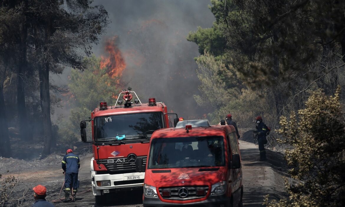 Αυξάνεται ο κίνδυνος πυρκαγιάς – Σ.Αποστόλου στον Lamia Polis: “Αιτία για τις περισσότερες πυρκαγιές είναι τα τσιγάρα που πετάγονται από το παράθυρο των οδηγών” (audio)