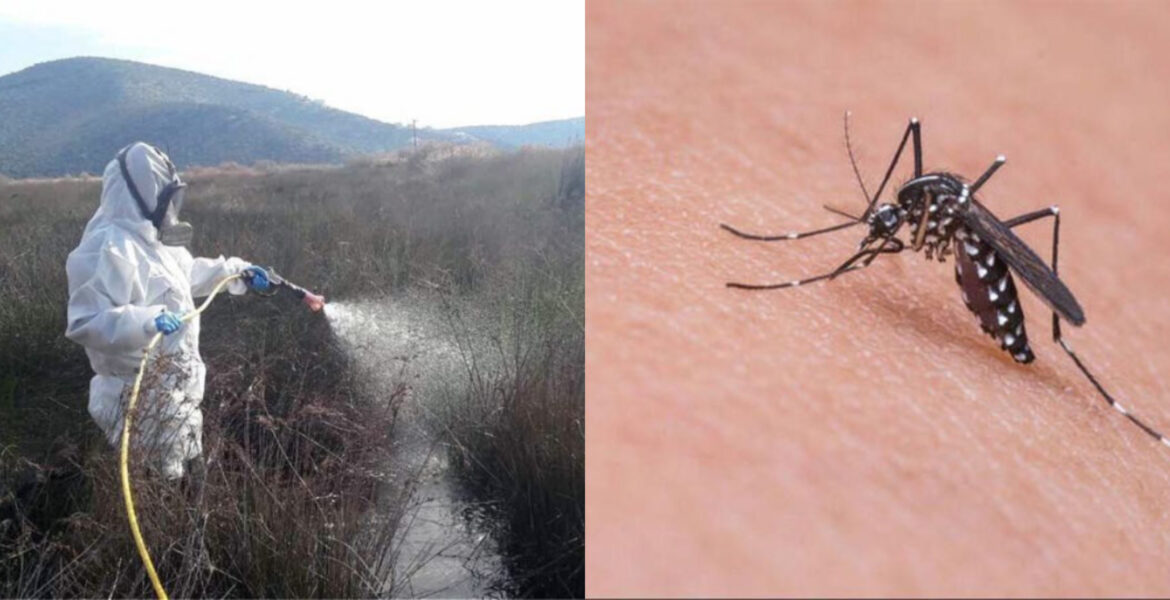 Με καθημερινούς ψεκασμούς στον κάμπο της Λαμίας συνεχίζεται η προσπάθεια για τα κουνούπια – Π.Περγαντάς στον Lamia Polis: “Τα κουνούπια τις απογευματινές ώρες και στο σούρουπο δεν είναι επικίνδυνα” (audio)
