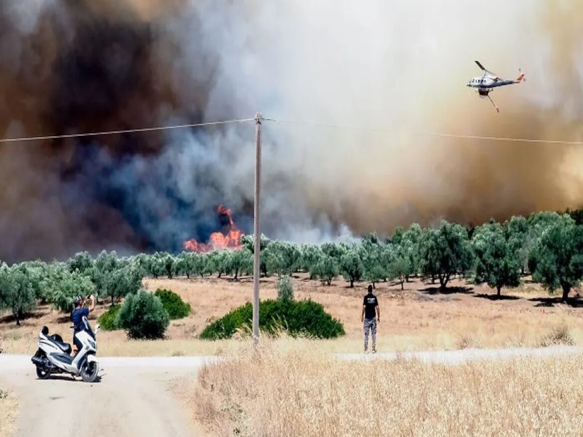 Φωτιά στην Εύβοια: Προς Βατώντα και Αρτάκη το μεγάλο μέτωπο της φωτιάς στα Ψαχνά