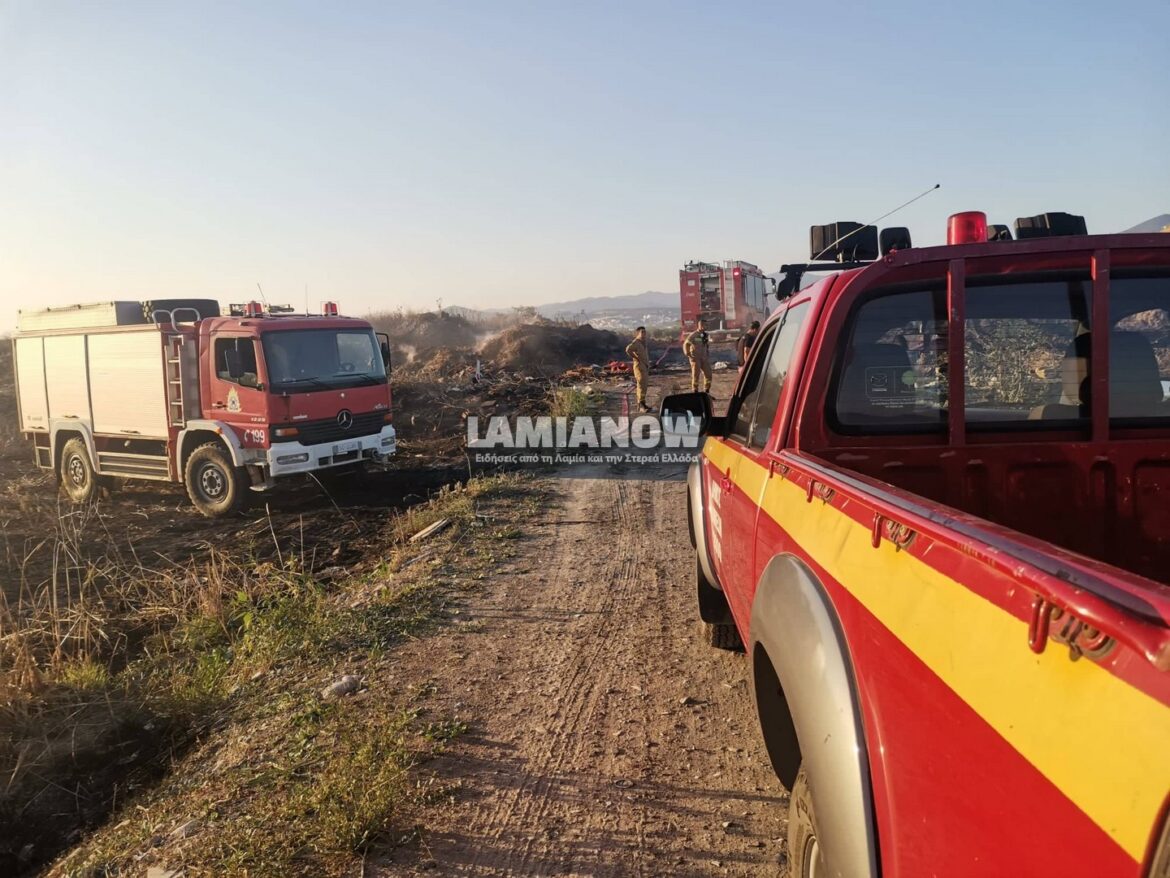 Δήμος Λαμιέων: Οριοθετήθηκαν οι πυρόπληκτες περιοχές για χορήγηση στεγαστικής συνδρομής για την αποκατάσταση των ζημιών των κτηρίων