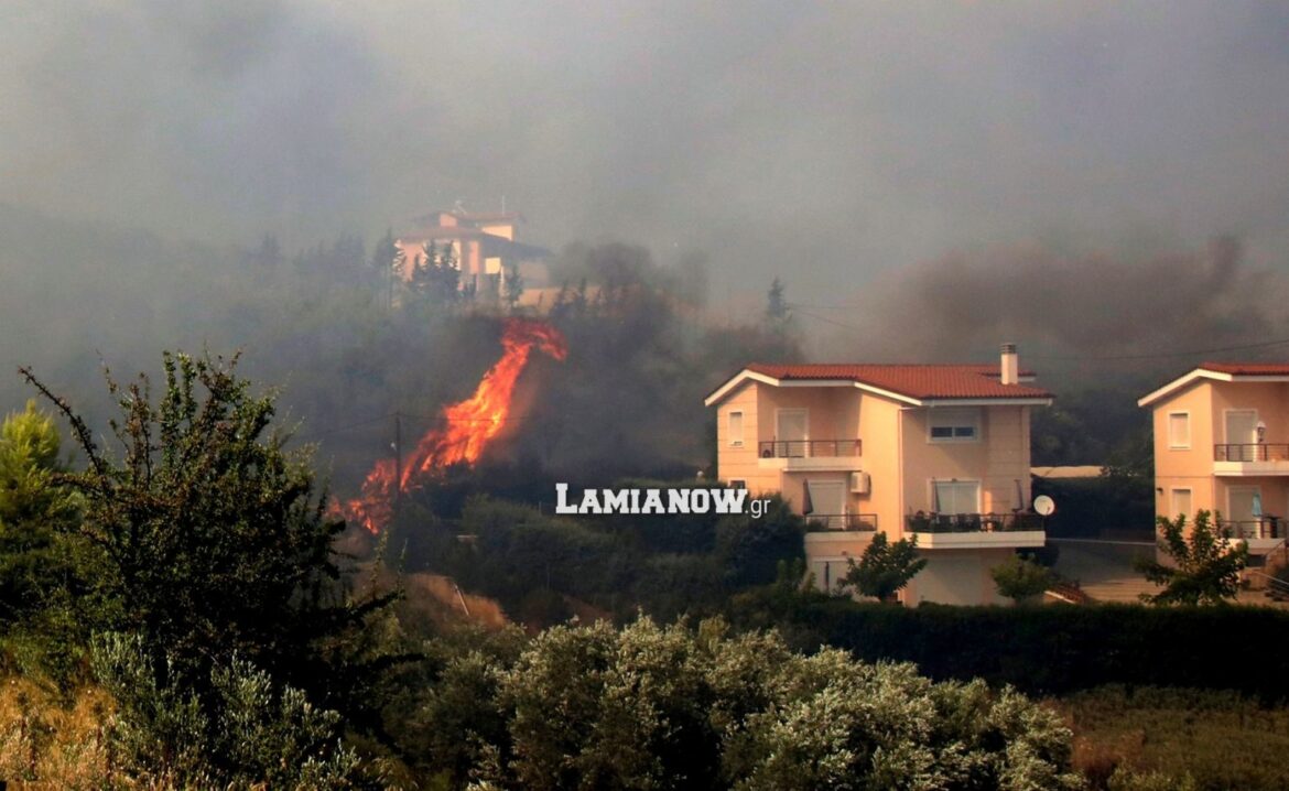 Ηλίας Σανίδας: Ενημέρωση για τις αποζημιώσεις στη Φθιώτιδα από τις φωτιές του Ιουλίου και Αυγούστου