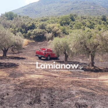 Φθιώτιδα: Με εγκαύματα στο Νοσοκομείο Λαμίας ο ηλικιωμένος / “Σημαντική η βοήθεια της ομάδας πυρασφάλειας σε περιπτώσεις φωτιάς”