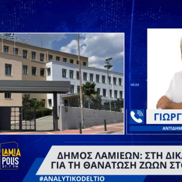 Δήμος Λαμιέων: Στη δικαιοσύνη για τη θανάτωση ζώων στο Κόμμα – “Καμία ανοχή στους δράστες”