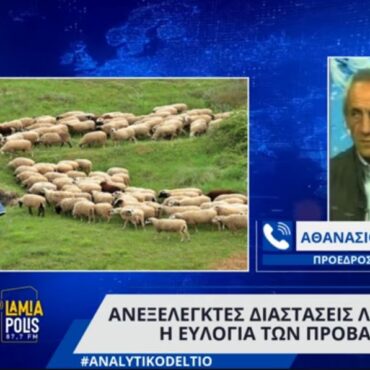 Ανεξέλεγκτες διαστάσεις λαμβάνει η ευλογιά των προβάτων