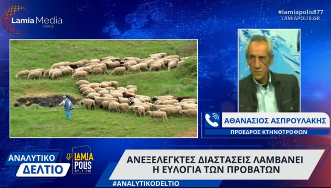 Ανεξέλεγκτες διαστάσεις λαμβάνει η ευλογιά των προβάτων