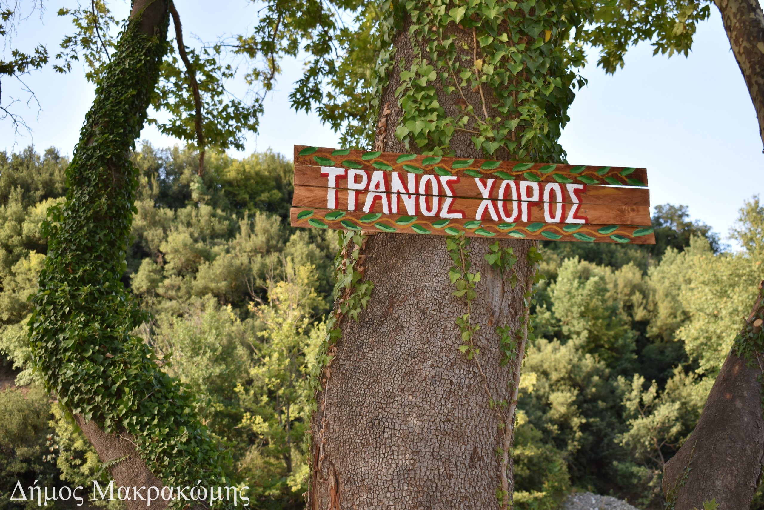Φόντο